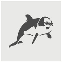 Curious Dolphin Wall Cookie DIY Craft Reusable Stencil