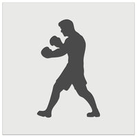 Boxer Fighter Stance with Boxing Gloves Pugilist Wall Cookie DIY Craft Reusable Stencil