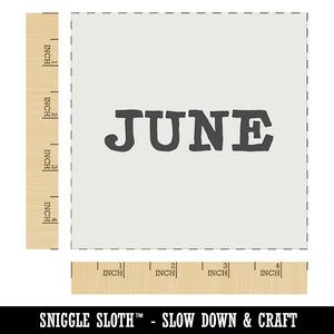 June Month Calendar Fun Text Wall Cookie DIY Craft Reusable Stencil