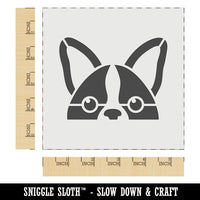 Peeking Boston Terrier Dog Wall Cookie DIY Craft Reusable Stencil