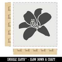 Daylily Lily Flower Wall Cookie DIY Craft Reusable Stencil