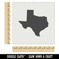Texas State Silhouette Wall Cookie DIY Craft Reusable Stencil