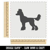 Chinese Crested Dog Solid Wall Cookie DIY Craft Reusable Stencil