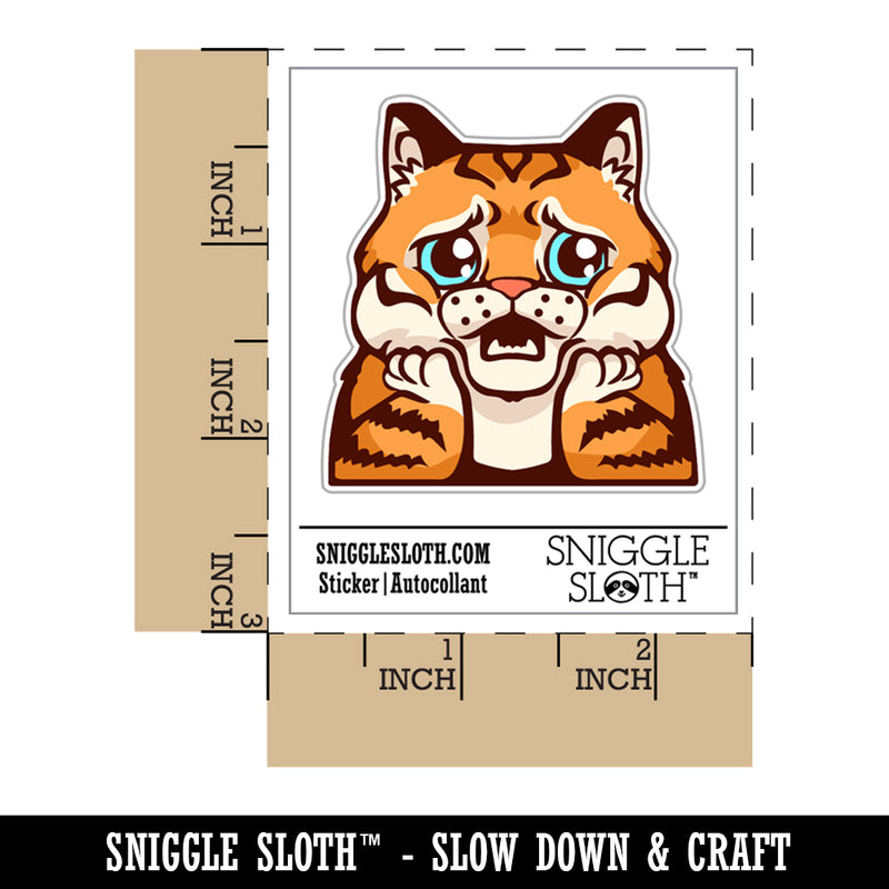 Distressed Striped Cat Looks Worried Waterproof Vinyl Phone Tablet Laptop Water Bottle Sticker Set - 5 Pack
