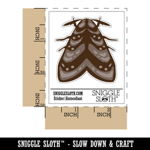 Resting Moth Bug Insect Waterproof Vinyl Phone Tablet Laptop Water Bottle Sticker Set - 5 Pack