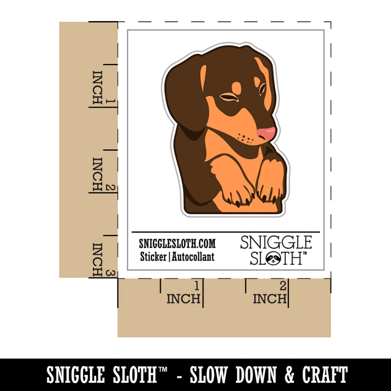 Sleeping Pocket Dachshund Puppy Dog Waterproof Vinyl Phone Tablet Laptop Water Bottle Sticker Set - 5 Pack