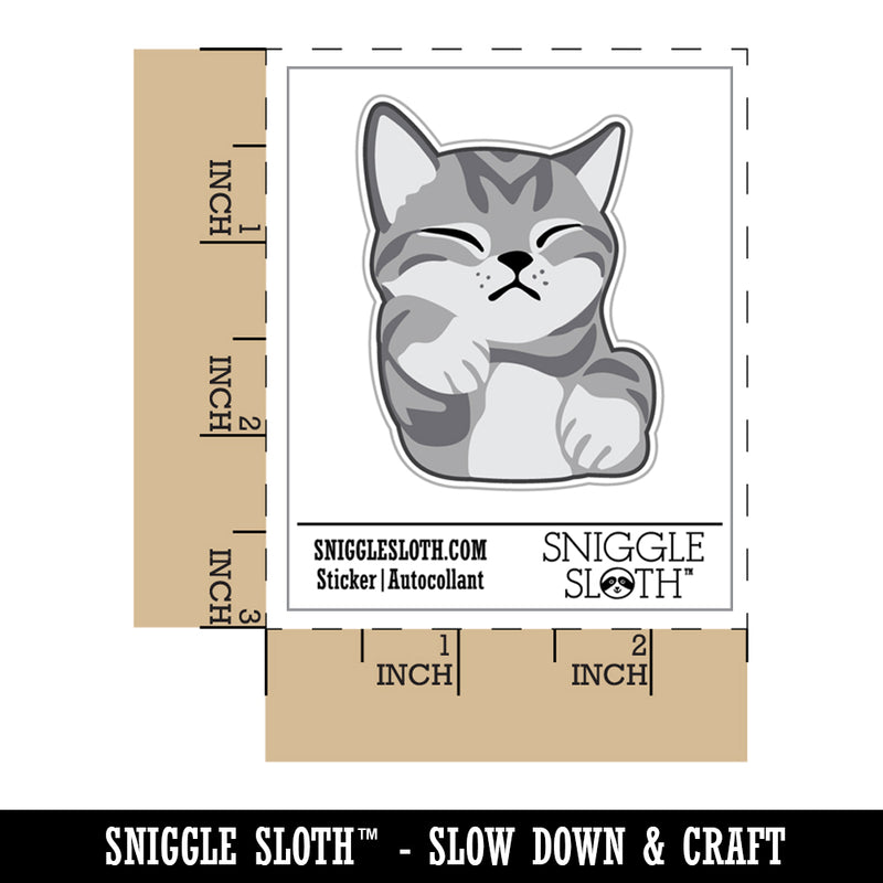 Sleeping Pocket Kitten Cat Waterproof Vinyl Phone Tablet Laptop Water Bottle Sticker Set - 5 Pack