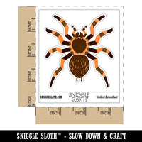 Tarantula Spider Arachnid Bug Waterproof Vinyl Phone Tablet Laptop Water Bottle Sticker Set - 5 Pack