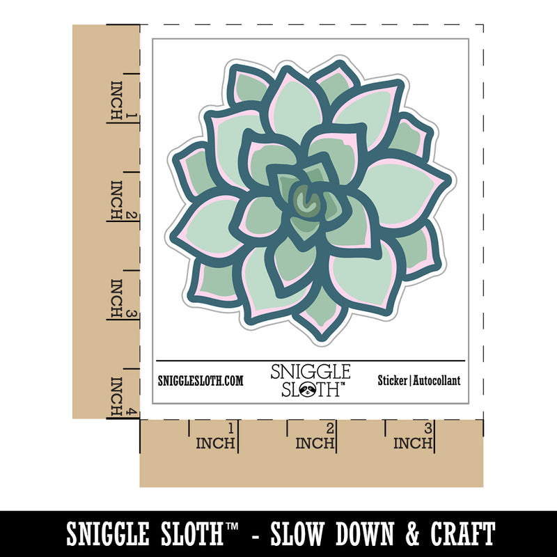 Succulent Plant Waterproof Vinyl Phone Tablet Laptop Water Bottle Sticker Set - 5 Pack