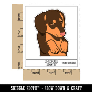 Sleeping Pocket Dachshund Puppy Dog Waterproof Vinyl Phone Tablet Laptop Water Bottle Sticker Set - 5 Pack
