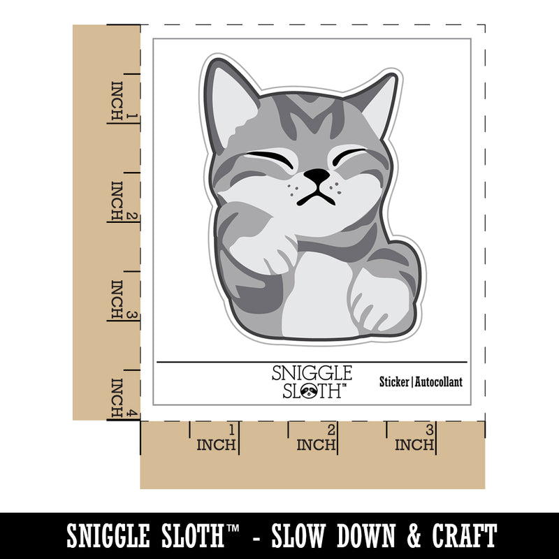 Sleeping Pocket Kitten Cat Waterproof Vinyl Phone Tablet Laptop Water Bottle Sticker Set - 5 Pack