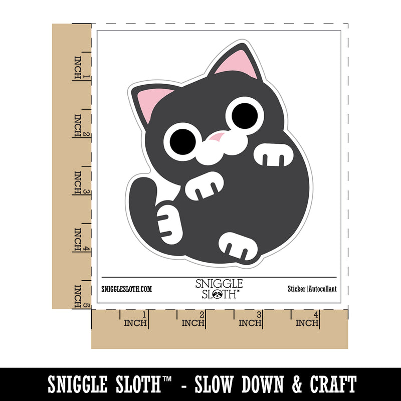 Round Cat Playful Waterproof Vinyl Phone Tablet Laptop Water Bottle Sticker Set - 5 Pack