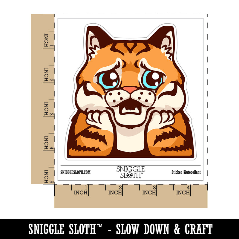 Distressed Striped Cat Looks Worried Waterproof Vinyl Phone Tablet Laptop Water Bottle Sticker Set - 5 Pack