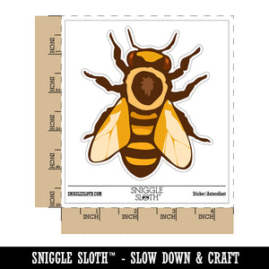 European Honey Bee Insect Beekeeping Waterproof Vinyl Phone Tablet Laptop Water Bottle Sticker Set - 5 Pack