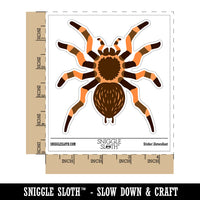 Tarantula Spider Arachnid Bug Waterproof Vinyl Phone Tablet Laptop Water Bottle Sticker Set - 5 Pack