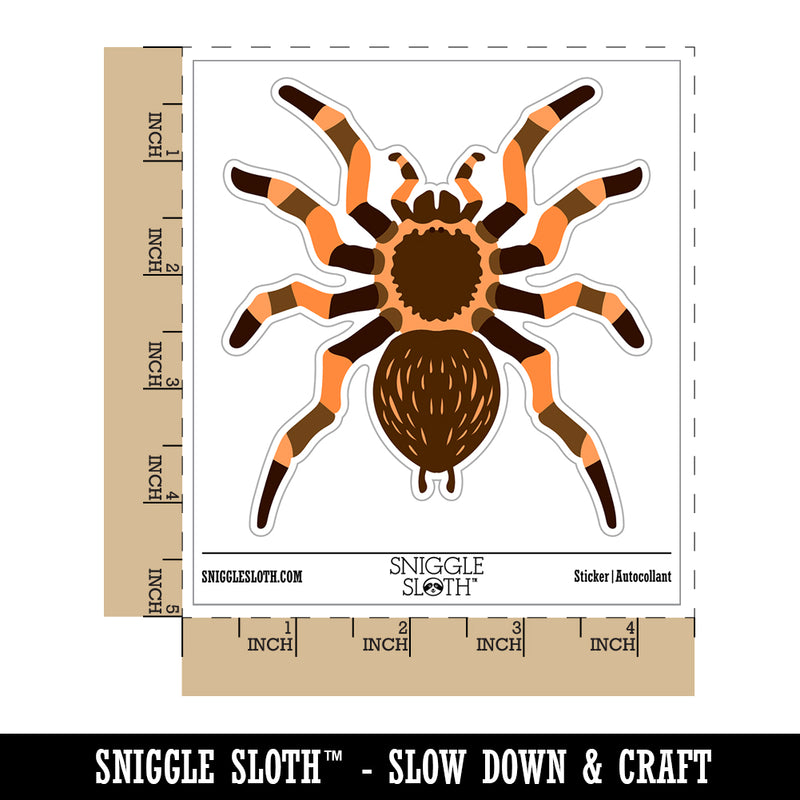 Tarantula Spider Arachnid Bug Waterproof Vinyl Phone Tablet Laptop Water Bottle Sticker Set - 5 Pack