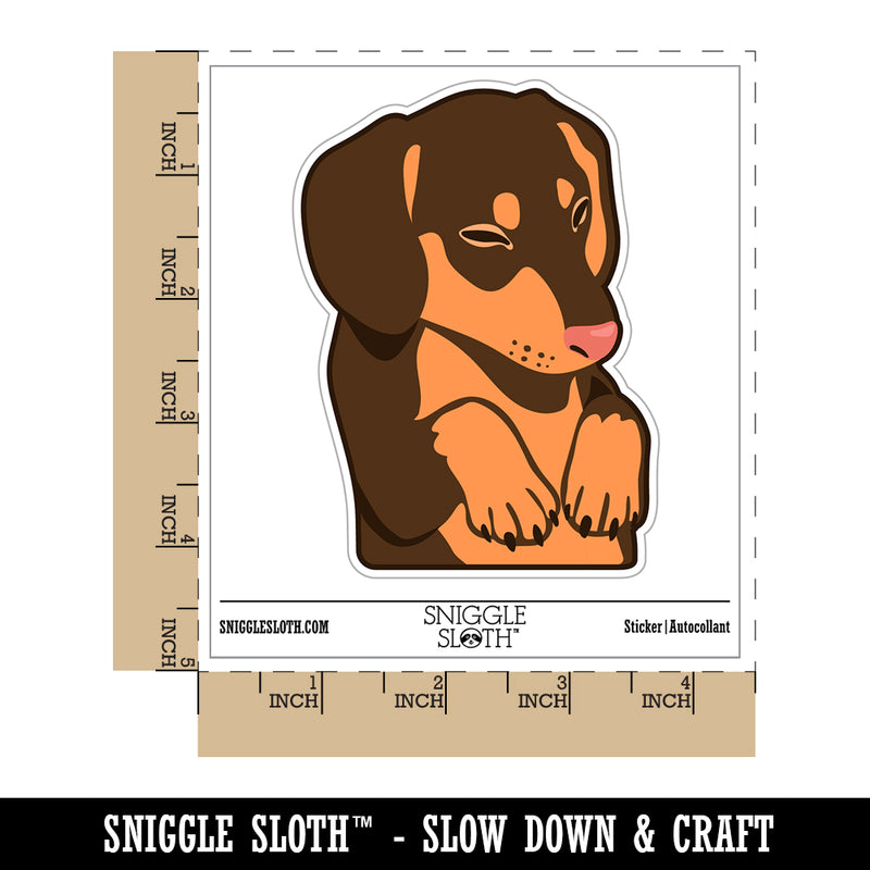 Sleeping Pocket Dachshund Puppy Dog Waterproof Vinyl Phone Tablet Laptop Water Bottle Sticker Set - 5 Pack