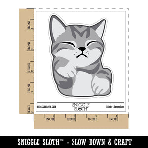 Sleeping Pocket Kitten Cat Waterproof Vinyl Phone Tablet Laptop Water Bottle Sticker Set - 5 Pack