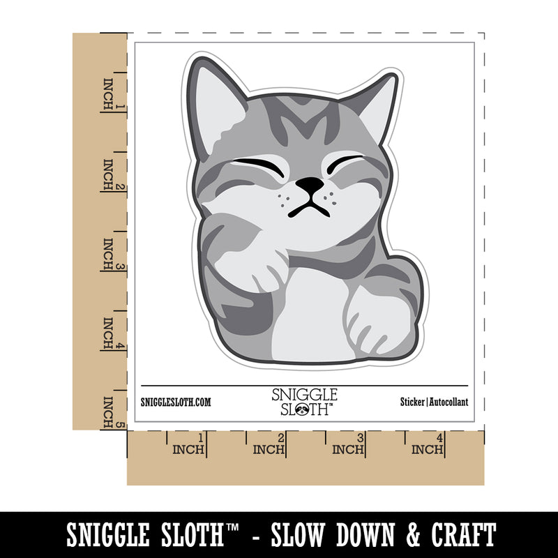 Sleeping Pocket Kitten Cat Waterproof Vinyl Phone Tablet Laptop Water Bottle Sticker Set - 5 Pack