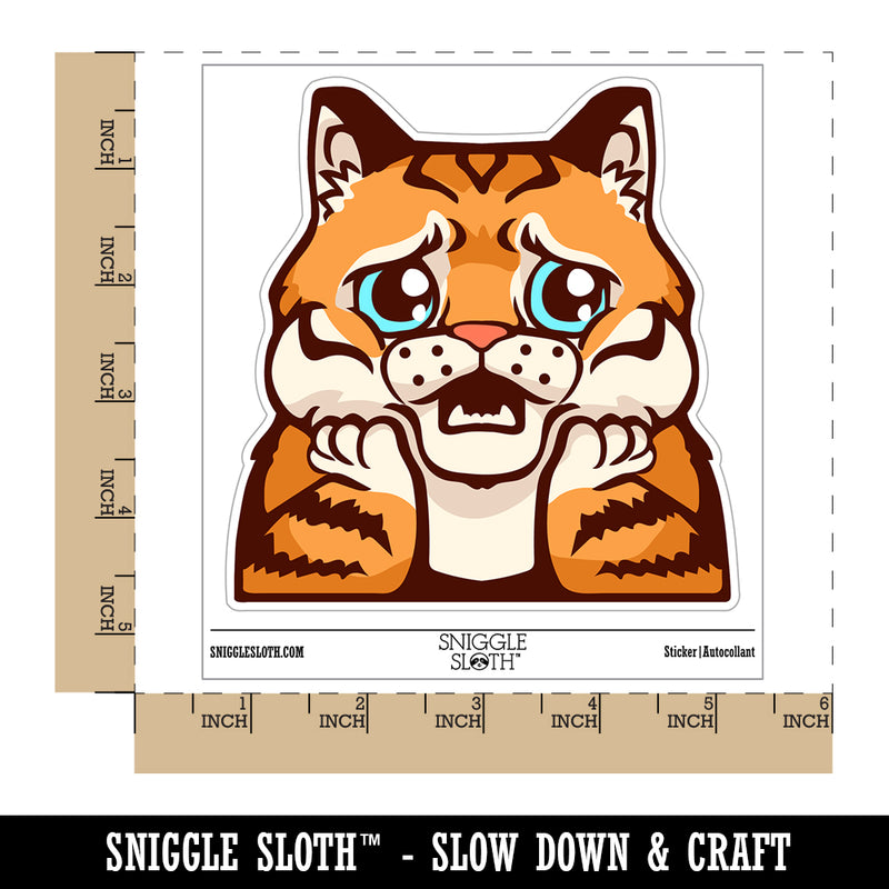 Distressed Striped Cat Looks Worried Waterproof Vinyl Phone Tablet Laptop Water Bottle Sticker Set - 5 Pack
