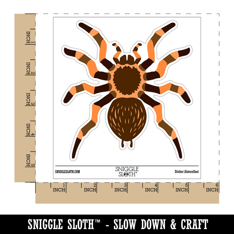 Tarantula Spider Arachnid Bug Waterproof Vinyl Phone Tablet Laptop Water Bottle Sticker Set - 5 Pack