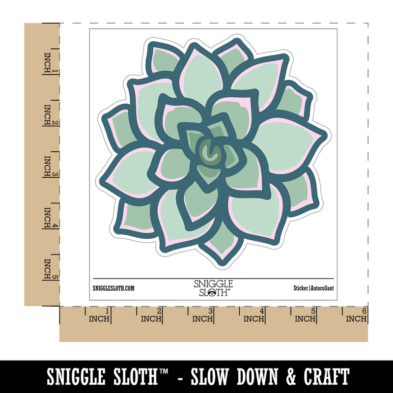 Succulent Plant Waterproof Vinyl Phone Tablet Laptop Water Bottle Sticker Set - 5 Pack
