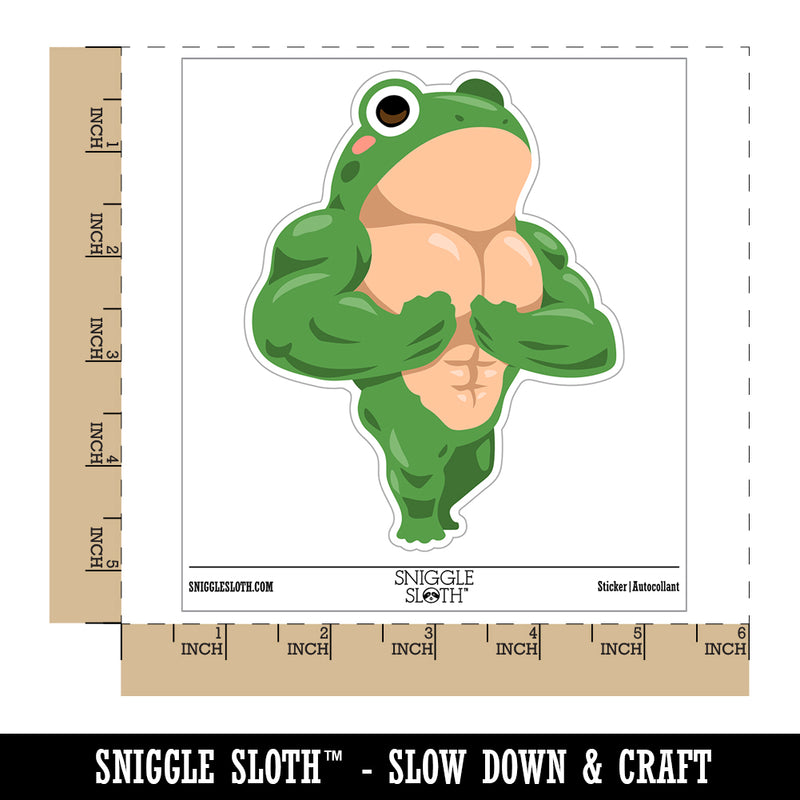 Pocket Frog Buff Muscles Funny Waterproof Vinyl Phone Tablet Laptop Water Bottle Sticker Set - 5 Pack