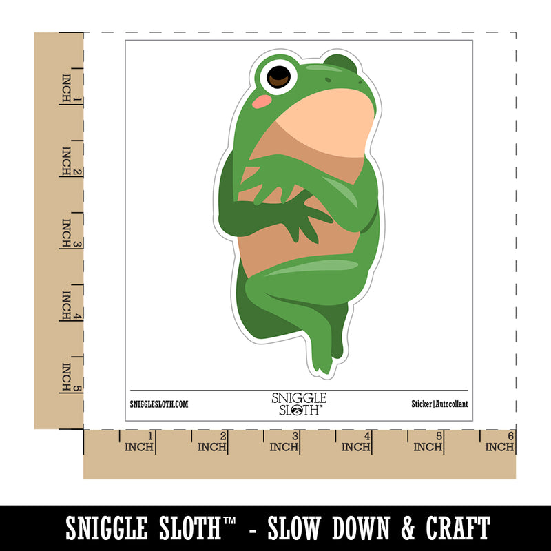 Pocket Frog Shy Toad Funny Waterproof Vinyl Phone Tablet Laptop Water Bottle Sticker Set - 5 Pack