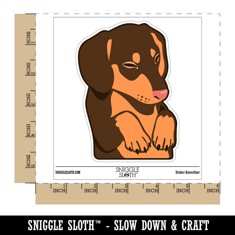 Sleeping Pocket Dachshund Puppy Dog Waterproof Vinyl Phone Tablet Laptop Water Bottle Sticker Set - 5 Pack