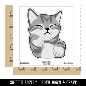 Sleeping Pocket Kitten Cat Waterproof Vinyl Phone Tablet Laptop Water Bottle Sticker Set - 5 Pack