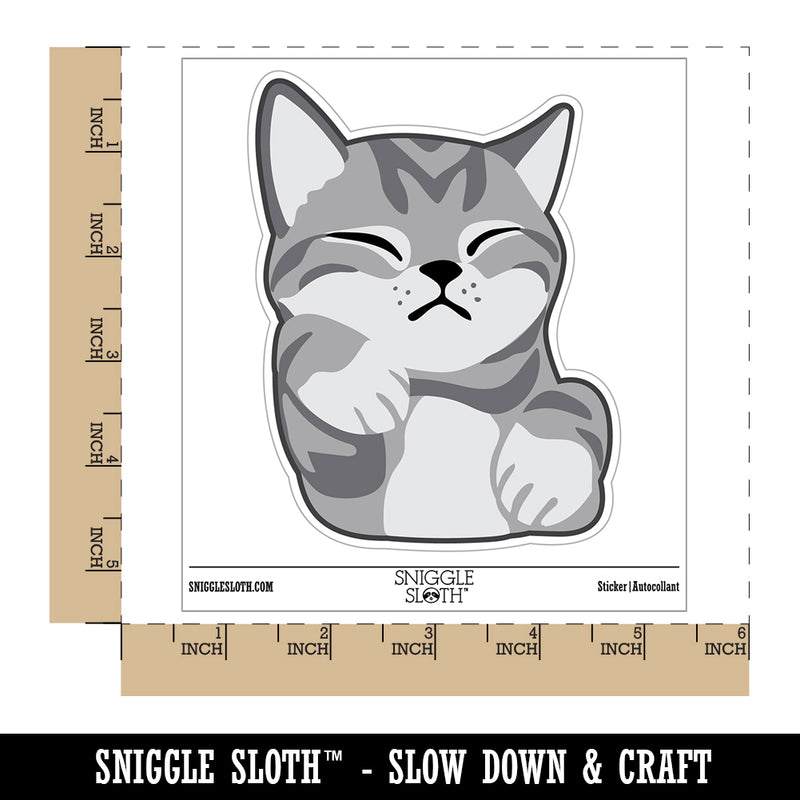 Sleeping Pocket Kitten Cat Waterproof Vinyl Phone Tablet Laptop Water Bottle Sticker Set - 5 Pack
