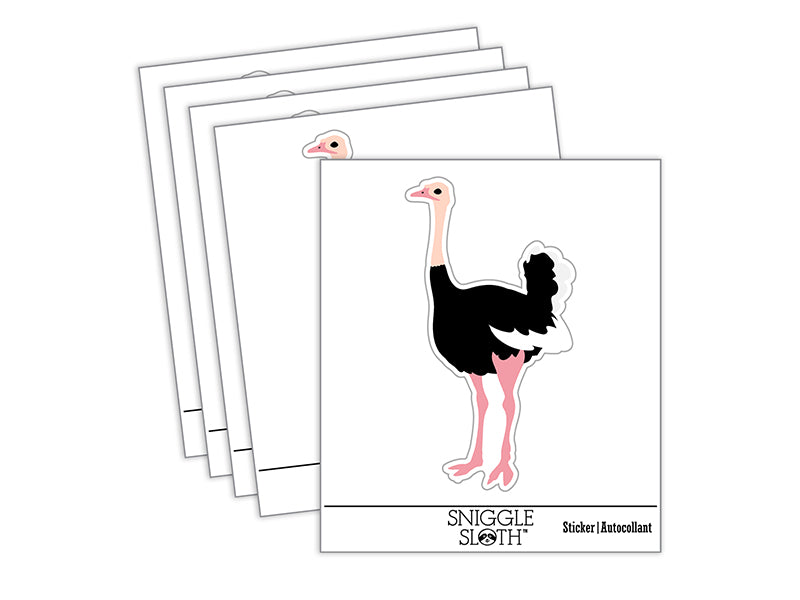 Ostrich Bird Solid Waterproof Vinyl Phone Tablet Laptop Water Bottle Sticker Set - 5 Pack