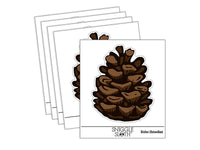 Realistic Pinecone Pine Cone Waterproof Vinyl Phone Tablet Laptop Water Bottle Sticker Set - 5 Pack