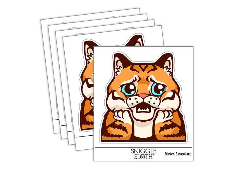 Distressed Striped Cat Looks Worried Waterproof Vinyl Phone Tablet Laptop Water Bottle Sticker Set - 5 Pack