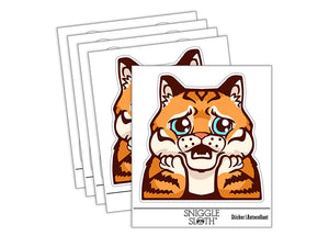 Distressed Striped Cat Looks Worried Waterproof Vinyl Phone Tablet Laptop Water Bottle Sticker Set - 5 Pack