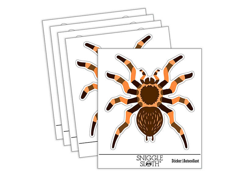 Tarantula Spider Arachnid Bug Waterproof Vinyl Phone Tablet Laptop Water Bottle Sticker Set - 5 Pack