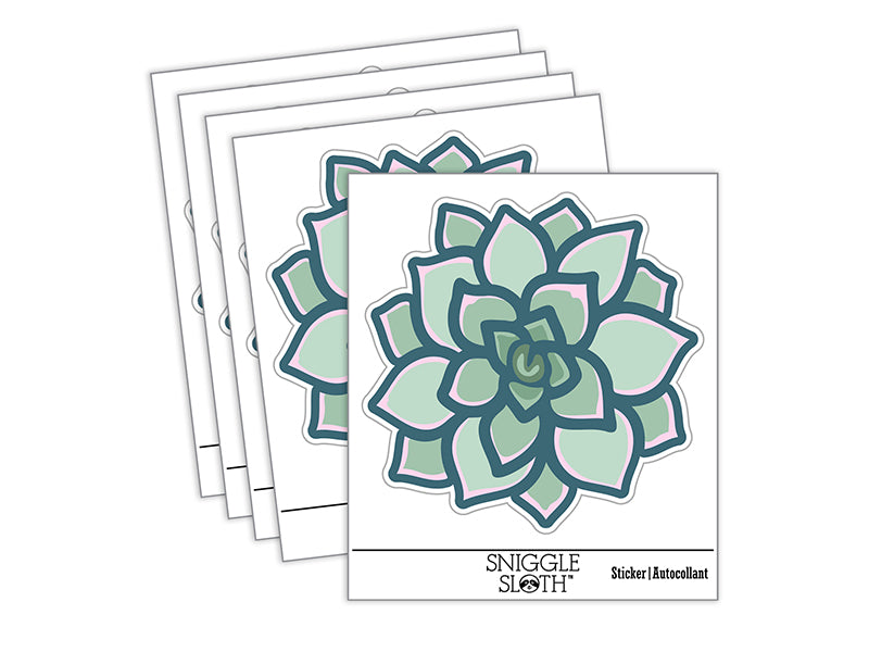 Succulent Plant Waterproof Vinyl Phone Tablet Laptop Water Bottle Sticker Set - 5 Pack