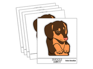 Sleeping Pocket Dachshund Puppy Dog Waterproof Vinyl Phone Tablet Laptop Water Bottle Sticker Set - 5 Pack