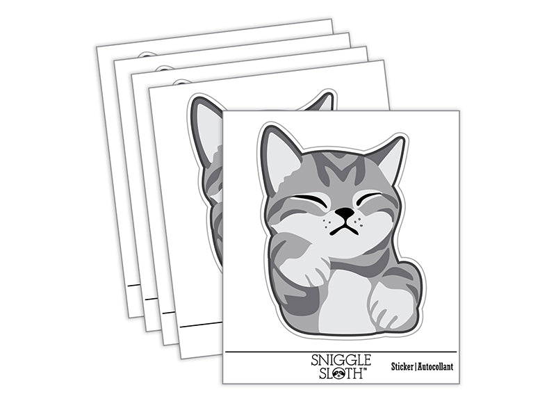 Sleeping Pocket Kitten Cat Waterproof Vinyl Phone Tablet Laptop Water Bottle Sticker Set - 5 Pack