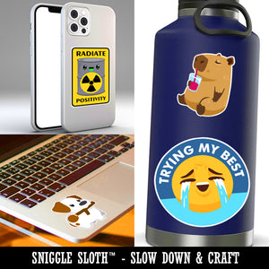 Trash Day Raccoon in Can Waterproof Vinyl Phone Tablet Laptop Water Bottle Sticker Set - 5 Pack