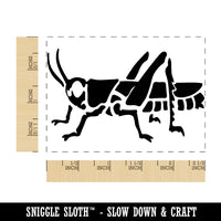 Grasshopper Locust Insect Bug Rectangle Rubber Stamp for Stamping Crafting