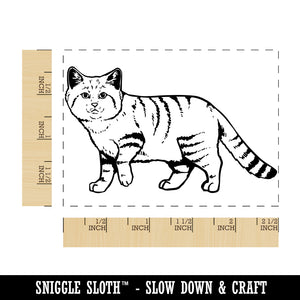 Adorable Desert Sand Cat Rectangle Rubber Stamp for Stamping Crafting