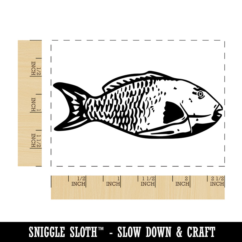 Beaky Parrot Fish Rectangle Rubber Stamp for Stamping Crafting