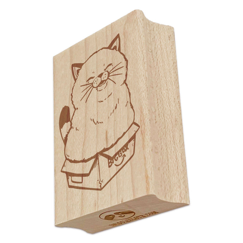 Chubby Happy Cat Sitting in Box Rectangle Rubber Stamp for Stamping Crafting