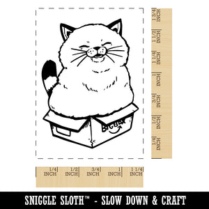 Chubby Happy Cat Sitting in Box Rectangle Rubber Stamp for Stamping Crafting