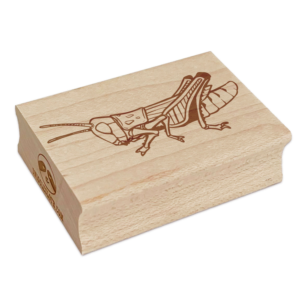 Realistic Grasshopper Locust Bug Insect Rectangle Rubber Stamp for Stamping Crafting