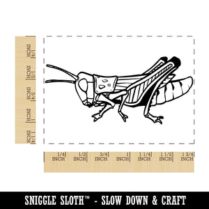 Realistic Grasshopper Locust Bug Insect Rectangle Rubber Stamp for Stamping Crafting