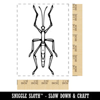 Walking Stick Bug Insect Flat Rectangle Rubber Stamp for Stamping Crafting