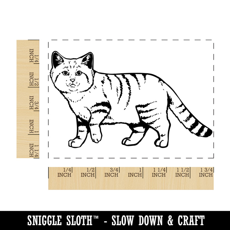 Adorable Desert Sand Cat Rectangle Rubber Stamp for Stamping Crafting