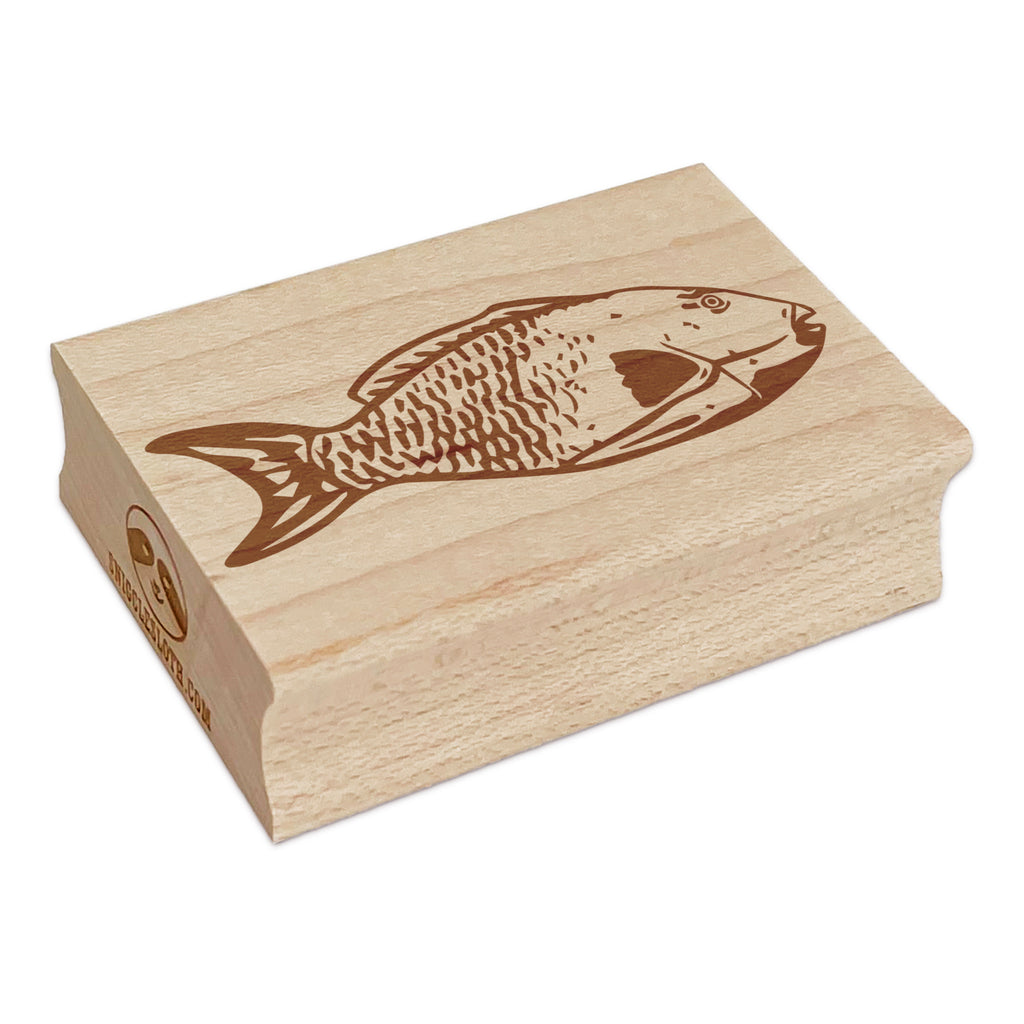 Beaky Parrot Fish Rectangle Rubber Stamp for Stamping Crafting